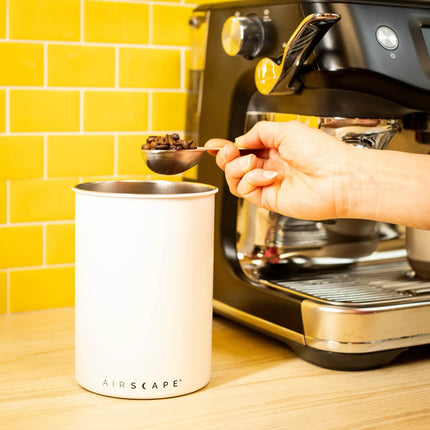 Airscape Coffee Scoop (Brushed Steel)