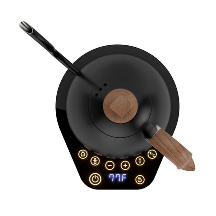 Brewista Artisan Gooseneck Electric Kettle 1 Litre Matte Black (UK Plug)