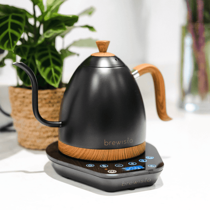 Brewista Artisan Gooseneck Electric Kettle 1 Litre Matte Black (UK Plug)