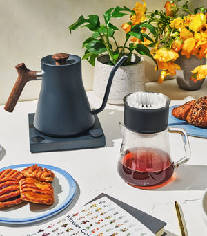 Fellow sales stagg mini