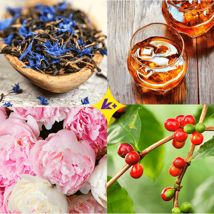 The OG! Coffee Beans - K+ Coffee 耶加雪菲