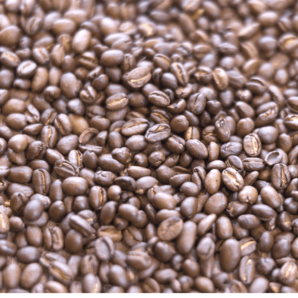 Ethiopian Yirgacheffee Specialty Coffee Beans